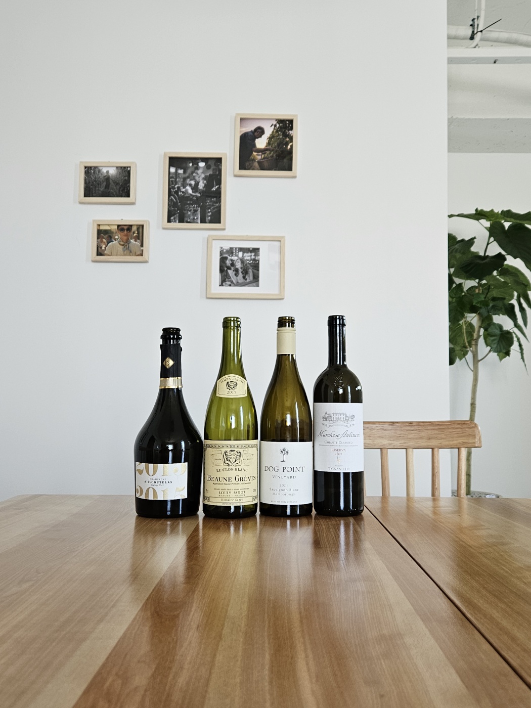 MyCellar 라운지에서 즐기는 와인 컬렉션
